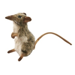 Peluche Musaraigne