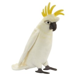 Peluche Oiseau Cacatoès - 35 cm