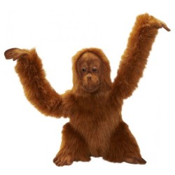 Peluche Orang Outan - 42 cm