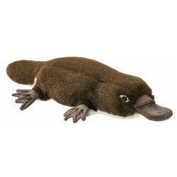 Peluche Ornithorynque - 28 cm