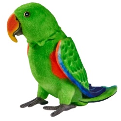 Peluche Perruche Eclectus