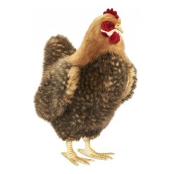 Peluche Poule Beige - 40 cm