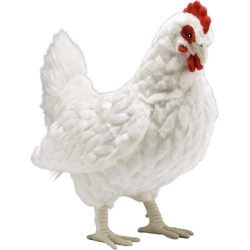 Peluche Poule Blanche