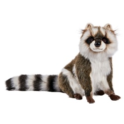 Peluche Raton Laveur - 31 cm