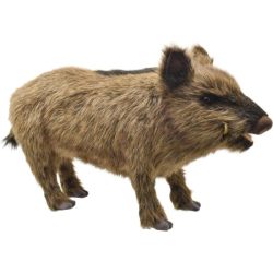 Peluche Sanglier - 52 cm
