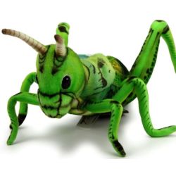 Peluche Sauterelle