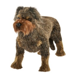 Peluche Teckel à Poil Dur - 30 cm