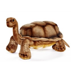Peluche Tortue des Galapagos - 30 cm