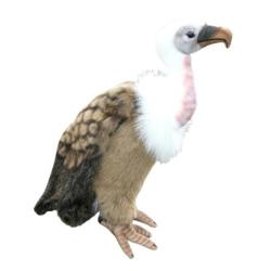 Peluche Vautour - 30 cm