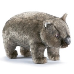 Peluche Wombat - 26 cm
