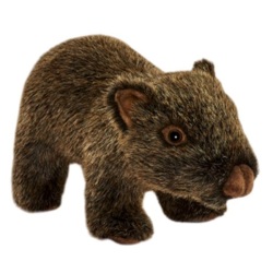 Peluche Wombat Bébé - 23 cm