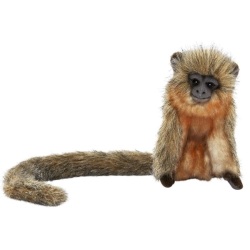 Peluchette Singe Titi