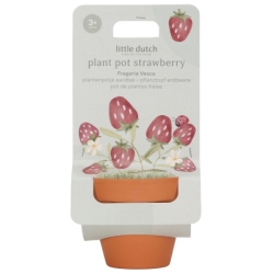 Kit de Plantation Fraise Garden