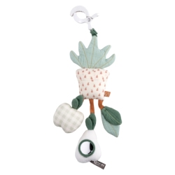 Jouet Activité Botanica