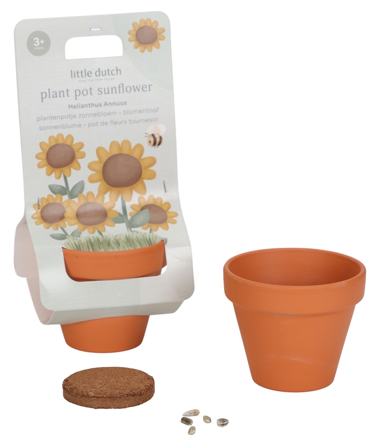 Kit de Plantation Tournesol Garden Kit de Plantation Tournesol Garden