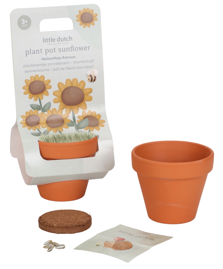 Kit de Plantation Tournesol Garden Kit de Plantation Tournesol Garden