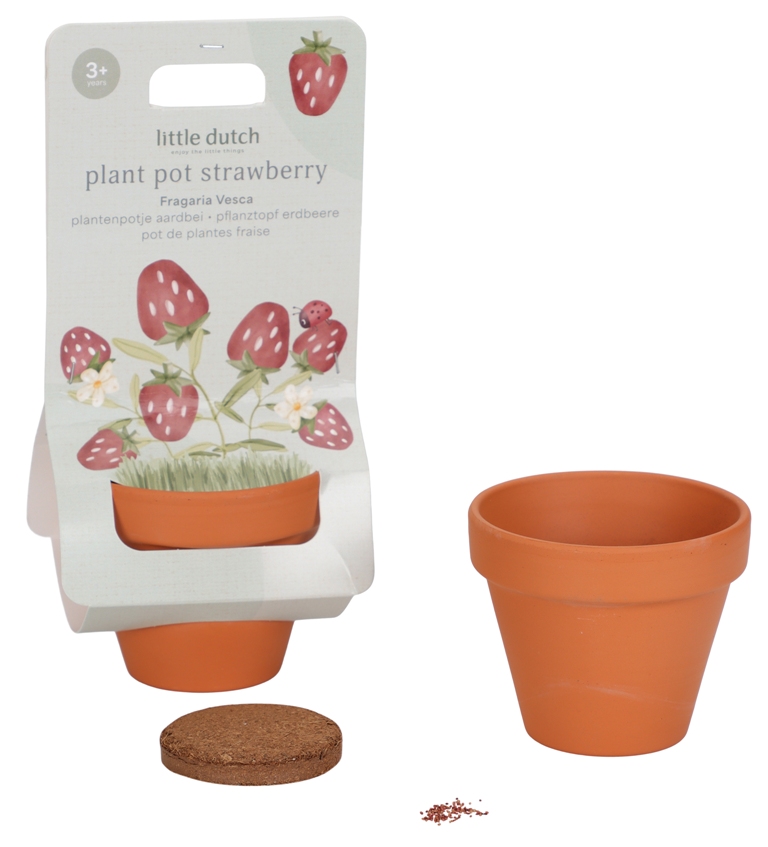 Kit de Plantation Fraise Garden Kit de Plantation Fraise Garden