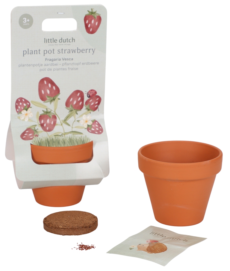 Kit de Plantation Fraise Garden Kit de Plantation Fraise Garden