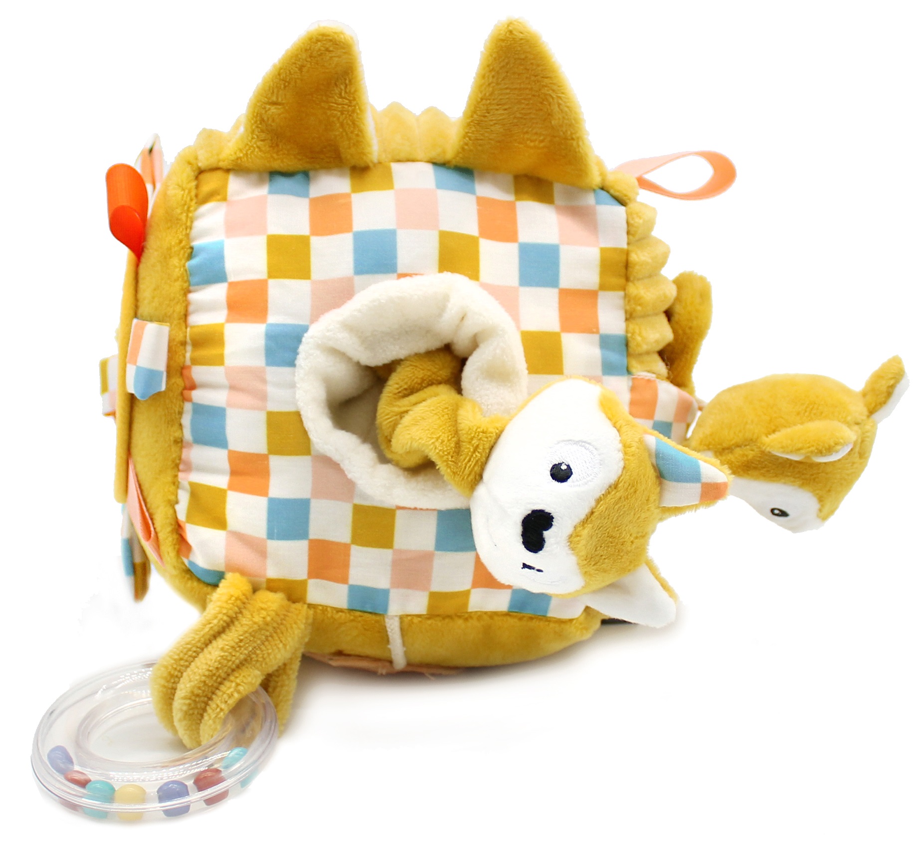 Cube Activités Renard Cyranos