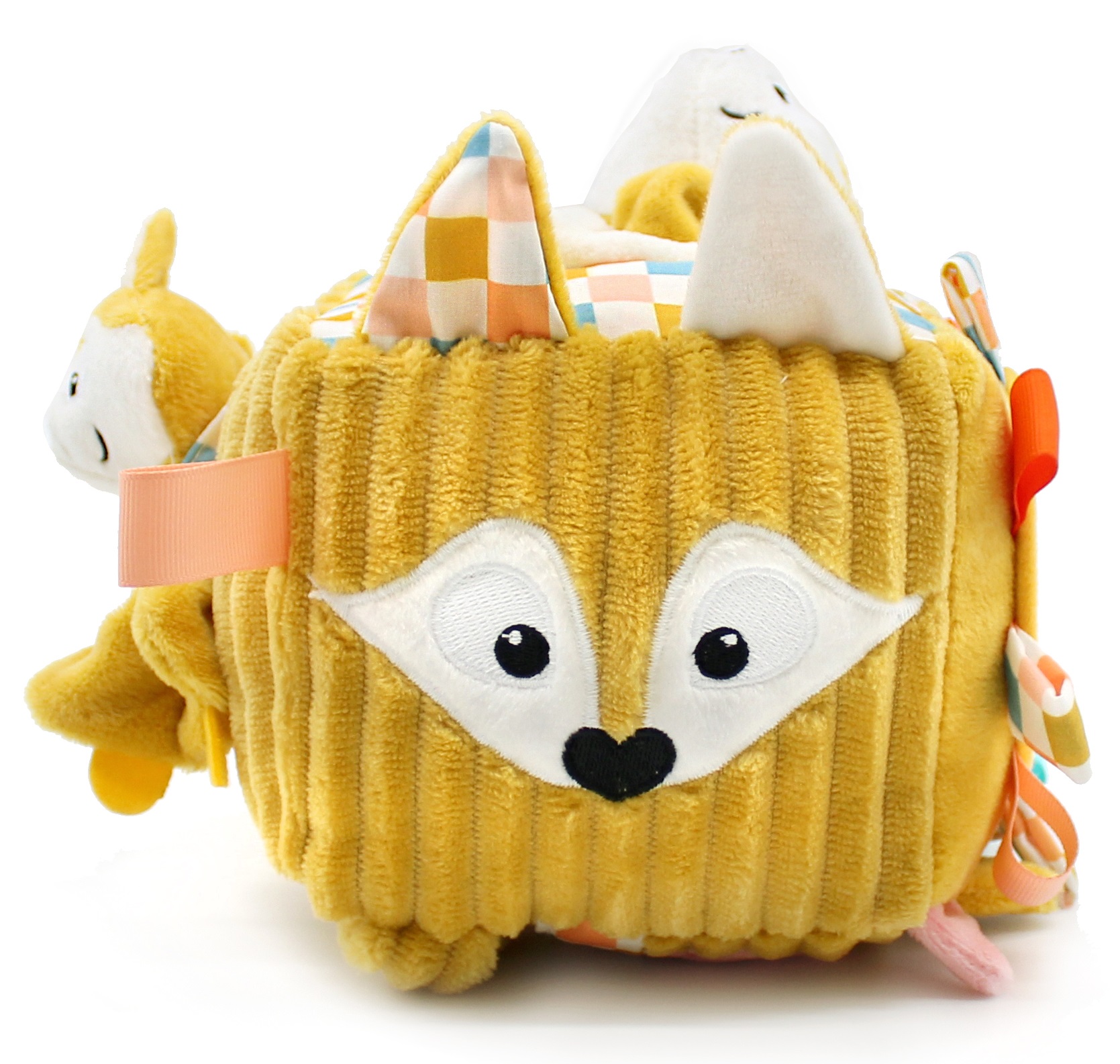 Cube Activités Renard Cyranos