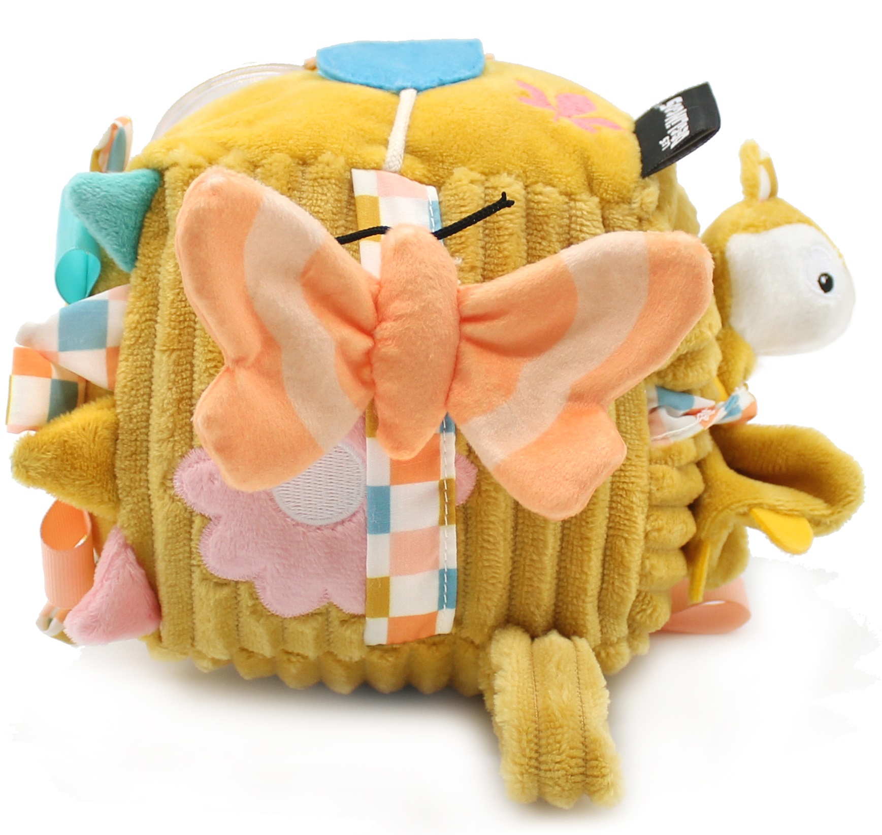 Cube Activités Renard Cyranos