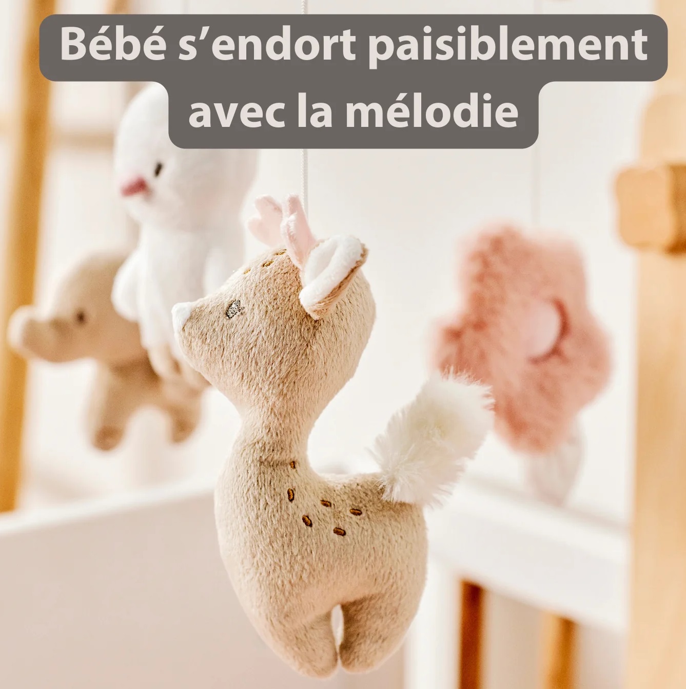 Mobile Musical Fanfan Mobile Musical Fanfan