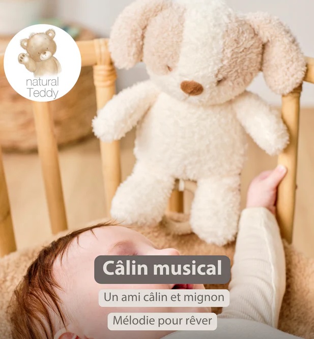 Peluche Musicale Chien Teddy Crème - 25 cm Peluche Musicale Chien Teddy Crème - 25 cm