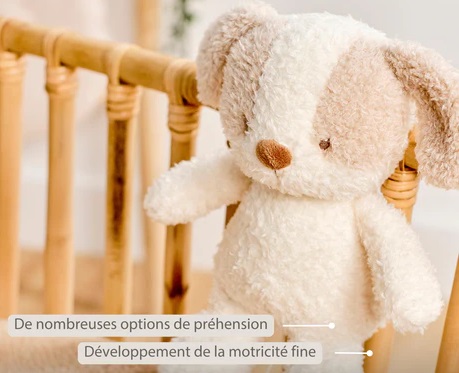 Peluche Musicale Chien Teddy Crème - 25 cm Peluche Musicale Chien Teddy Crème - 25 cm