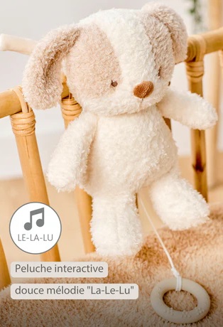 Peluche Musicale Chien Teddy Crème - 25 cm Peluche Musicale Chien Teddy Crème - 25 cm
