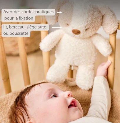 Peluche Musicale Chien Teddy Crème - 25 cm Peluche Musicale Chien Teddy Crème - 25 cm