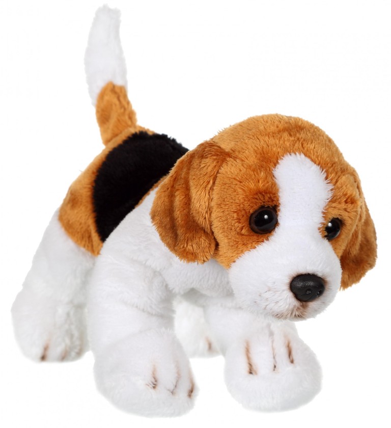 Peluche outlet chien beagle