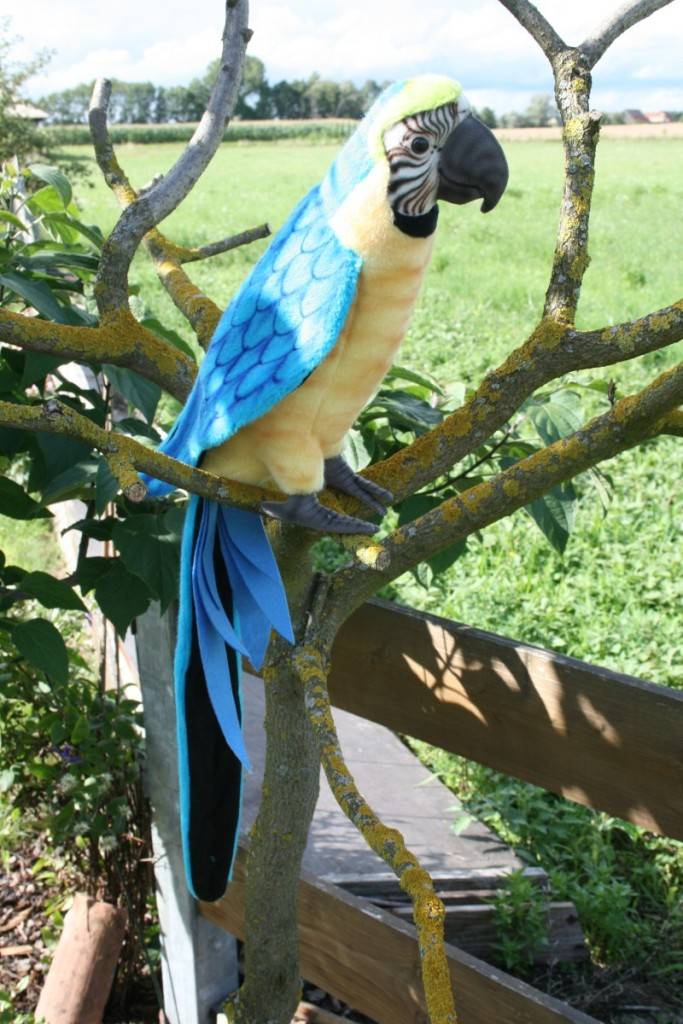 Peluche perroquet ara jaune-bleu 3068 Hansa