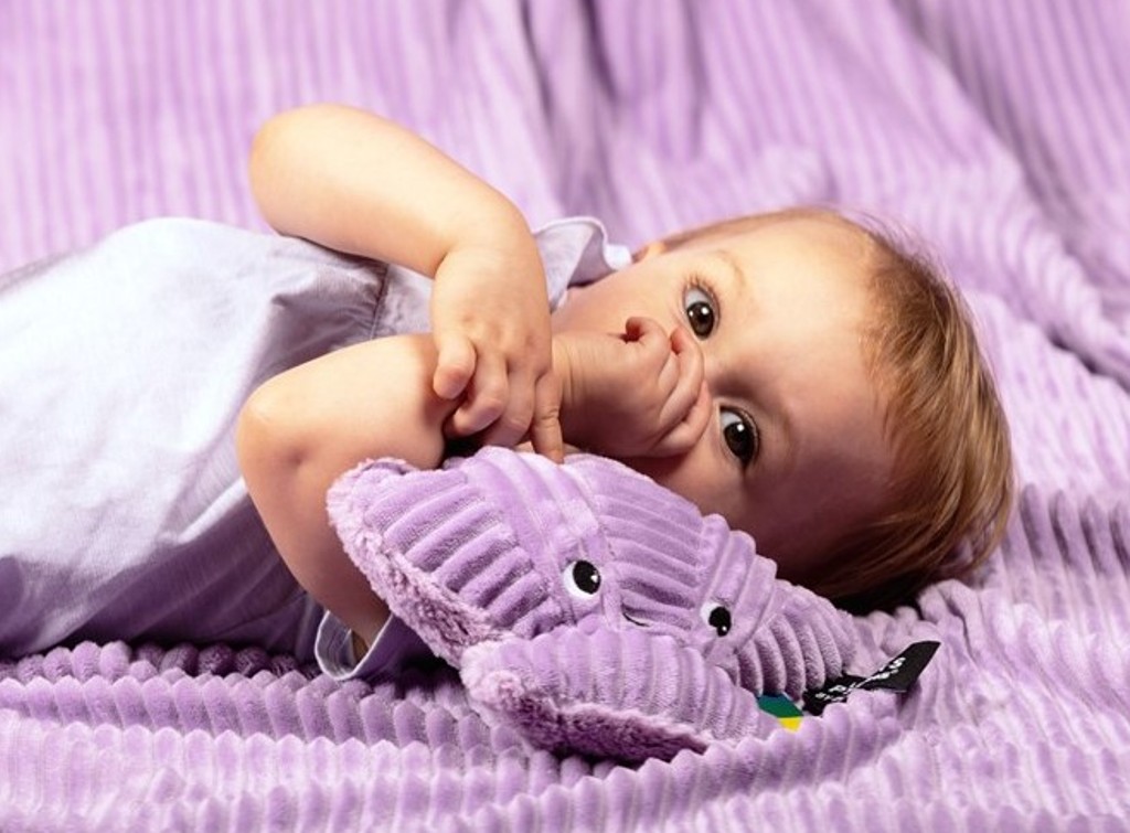 Peluche Coquillage Tétrochou Ptipotos
