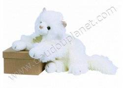 Histoire D Ours Peluche Chat Angora Doudouplanet Livraison Gratuite 24 48h