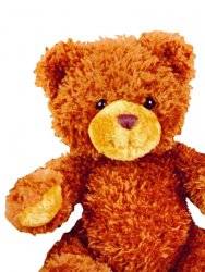 Histoire d Ours Peluche Ours Marron