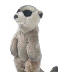 suricate peluche