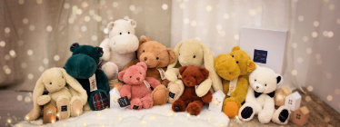 collection complète Histoire-d-Ours