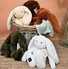 histoire d ours peluche 